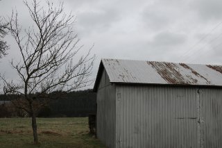 dsc_3532 dsc_3532
